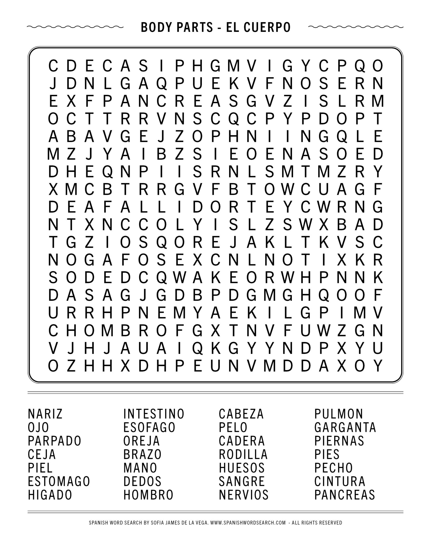 Spanish Word Search Body Parts Can you find all the body parts?